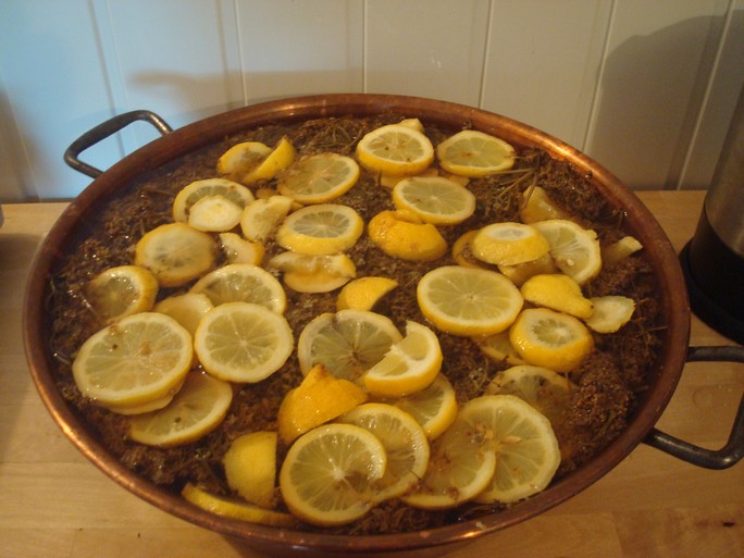 tisane fleurs de sureau et citron